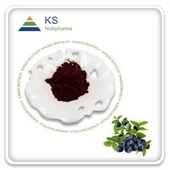 Poudre d'extrait de myrtille