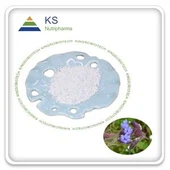 Cyanotis arachnoidea extrait de poudre