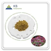 Echinacea purpurea Herb Extrait