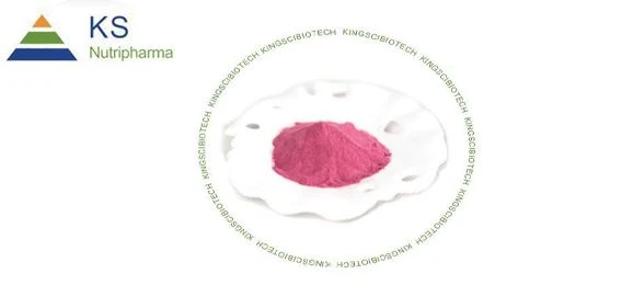 Quels sont les avantages de la poudre de canneberge pour notre santé?