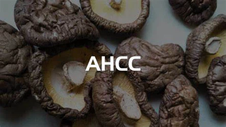 news-474-267 news-474-267