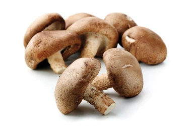 news-750-500 news-750-500