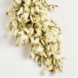 news-241-240 news-241-240