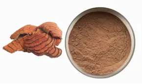 product-290-171 product-290-171