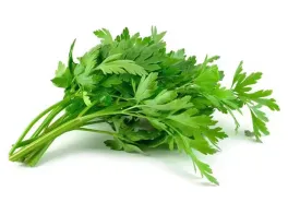 product-264-185 product-264-185