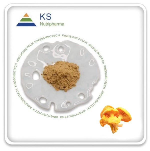 Extrait de Cantharellus Cibarius